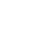 icon opus plus